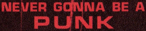 Never Gonna Be A Punk